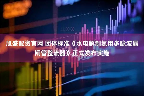 旭盛配资官网 团体标准《水电解制氢用多脉波晶闸管整流器》正式发布实施