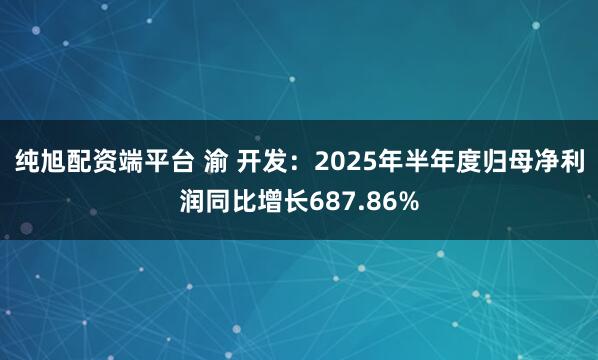 纯旭配资端平台 渝 开发：2025年半年度归母净利润同比增长687.86%