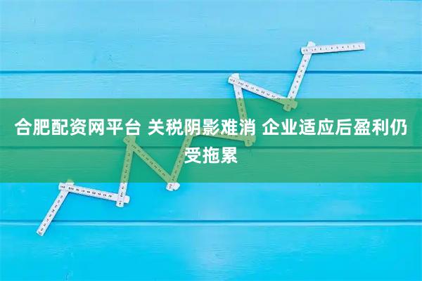 合肥配资网平台 关税阴影难消 企业适应后盈利仍受拖累